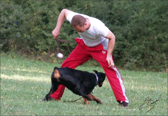 Summer training camp - Jelenec - 2007